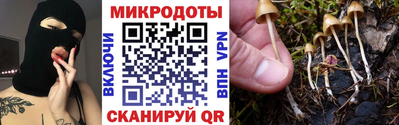 Псилоцибиновые грибы мицелий  мега маркетплейс  Южно-Сахалинск 