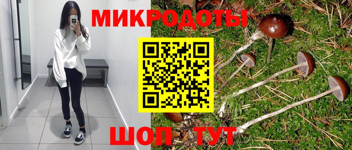 Галлюциногенные грибы Psilocybine cubensis  Вход с VPN  Галлюциногенные грибы Magic Shrooms  Южно-Сахалинск 