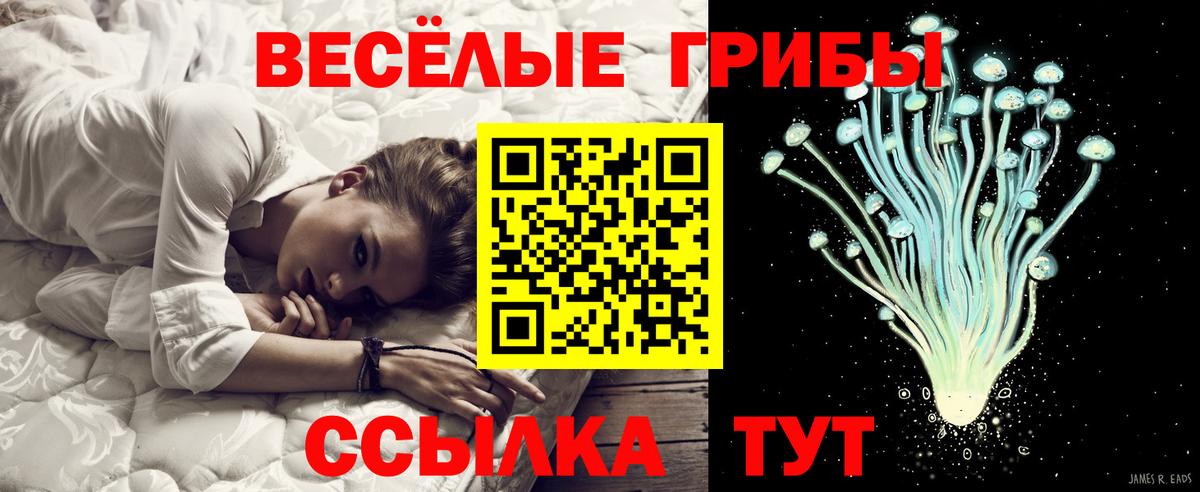Галлюциногенные грибы Cubensis Южно-Сахалинск